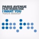 Paris Avenue feat. Robin One - I Wan`t You 2014 (Vlach Mashup)