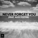 Fin Evans - Never Forget You (feat. Alex Foster - Original mix)