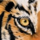 Survivor - Eye of the tiger (CatWell Remix)