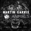 Martin Garrix - Animals (Paul B, Manu Bоrsan & Dj Innu Sax vs. Violin Edit)
