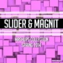 Oliver Heldens vs. Juan Kidd - Gecko\'s Gone (Slider & Magnit Mashup)