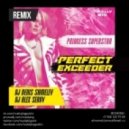 Princess Superstar - Perfect Exceeder (DJ Denis Shmelev & DJ Alex Serov Remix)