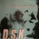 Dsk - What Would We Do