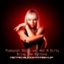 Pussycat Dolls vs. Hot N Dirty - Bring The Buttons