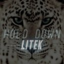 LiTek - Hold Down