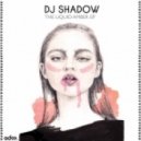 DJ Shadow - Ghost Town (Original mix)