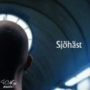 Max Elto - Sjohast