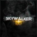 Party Thieves - Skywalker
