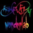 Kanevsky - WonderLab