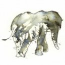 Gill Chang - Dumbo
