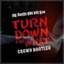 Dj Snake & Lil Jon - Turn Down For What