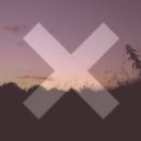 The XX - Reconsider