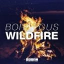 Borgeous - Wildfire (Cpaws Festival Trap Remix)