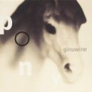 Ginuwine - Pony (Salute Remix)