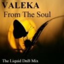 VALEKA - From The Soul