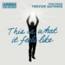 Armin Van Buuren, Artful - This Is What It Feels Like (Alex Inc Mash-Mix)