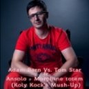 Adam Barn vs. Tom Staar & Ansolo - Morphine Totem (Koly Kock\'s Mush Up) (Koly Kock\'s Mush - Up)