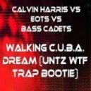 Calvin Harris vs EOTS vs Bass Cadets - Walking C.U.B.A. Dream