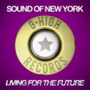 Sound Of New York - Living For The Future (Black Legend Project Remix)