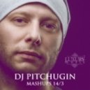 Otto Knows vs DJ Favorite & Bikini DJ\'s - Parachute (DJ Pitchugin Mashup)