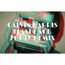 Calvin Harris - Flashback (Zooly Remix)
