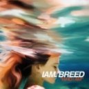 I Am. BREED - Who I Am (Original mix)