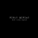 Niels Binias - Not Your Fault