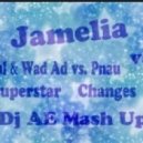 Jamelia vs. Faul & Wad Ad vs. Pnau - Superstar Changes