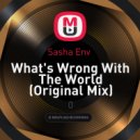 Sasha Env - What's Wrong With The World