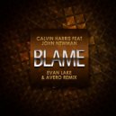 Calvin Harris feat. John Newman - Blame