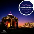 Invisible Brothers - Dust Secret (Vasutin Remix)