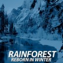 Rainforest - Reborn In Winter (Original mix)