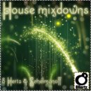 8 Hertz & Schelmanoff - House Mixdown 1