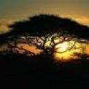 Nils A - Evasion (Original Mix)
