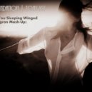 Blue Foundation,Tony Igy - Watch You Sleeping Winged(DJ Tigran Mash-Up)