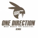 One Direction - What Makes You Beautiful