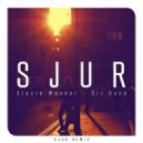 Stevie Wonder - Sir Duke (SJUR Remix)