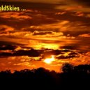 Sander van Doorn & Martin Garrix, DVBBS Feat. Aleesia - Gold Cyclone (Douglas Tavares Mash Edit)