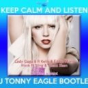 Lady Gaga & R Kelly & Eddie Mono & HOOK N SLING & Alexx Slam - Do What U Want (DJ TONNY EAGLE Bootleg)