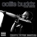 Collie Buddz - Come Around