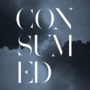 Lost & Found - Consumed