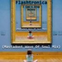 Flashtronica - I Can`t Stop Dejavu (Mastadont Wave Of Soul Mix)