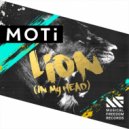 MOTi - Lion