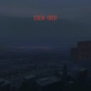 Stolen Forest - Ftotggc (Remastered)