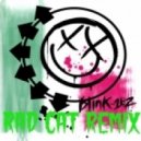Blink 182 - Adam\'s Song (Rad Cat Remix)