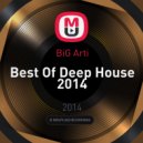 BiG Arti - Best Of Deep House 2014