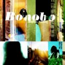 Bonobo - Silver (Phloem Bootleg)
