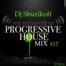 Dj Shurikoff - Progressive House Mix #17