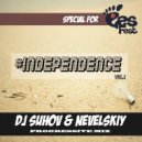 ID 49 - The Novel Night (Original Mix)