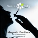 Magnetic Brothers - Sex & Love Processes On Digital Waves